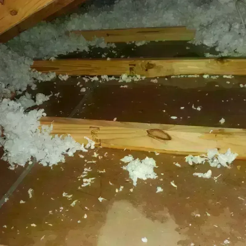 Attic Water Damage in Stevenson, WA