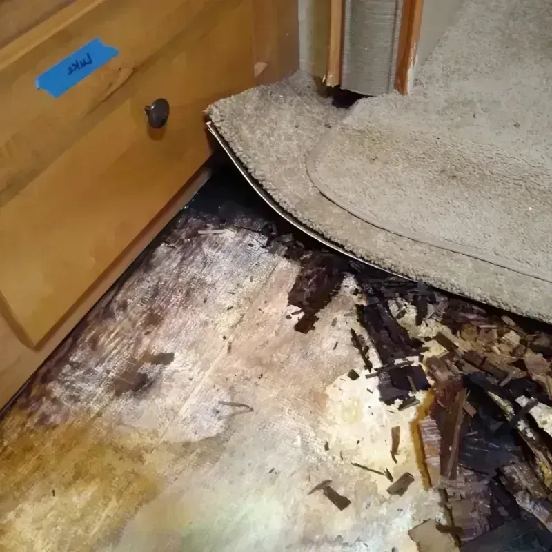 Wood Floor Water Damage in Stevenson, WA